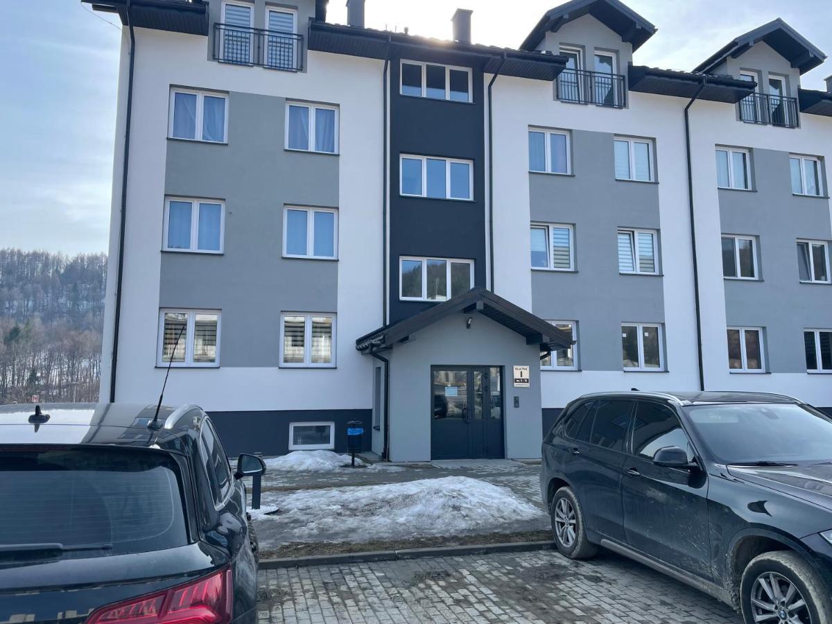 Apartament Modern Ustrzyki Dolne Extérieur photo
